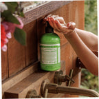 Lemongrass Organic Sugar Soap Creamy Body Wash
